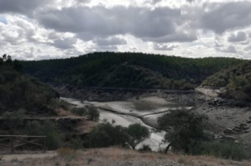 Foto de Diego Garcia - Shifter