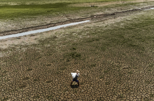 Seca na região amazónica. Foto de Raphael Alves/EPA/Lusa.