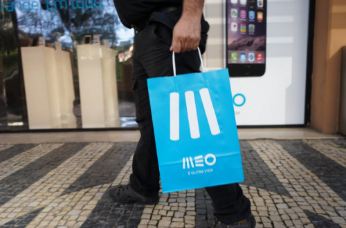 Meo. Foto de Paulete Matos.