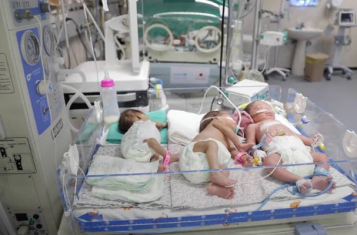 Recém-nascidos no hospital Al-Shifa, em Gaza.