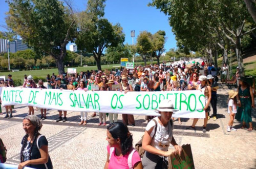 Manifestação e Lisboa contra o abate de sobreiros em Morgavel
