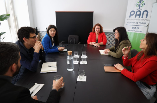 Reunião entre Bloco e PAN. Foto de Ana Mendes.