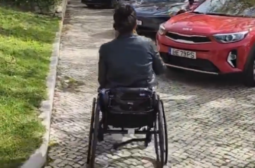 Captura de ecrã de um vídeo de @especierarasobrerodas.
