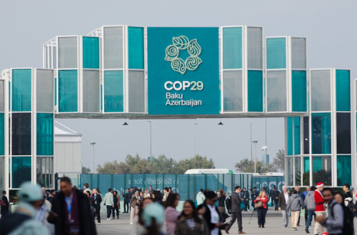 COP29
