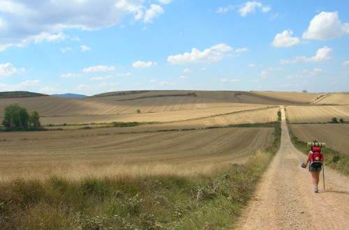 Caminho de Santiago.