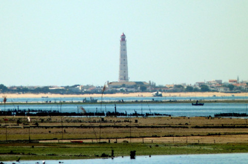 Farol de Santa Maria na Ilha da Culatra.