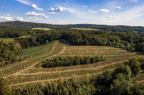 Reserva Agrícola Nacional