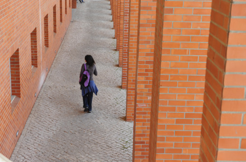 Estudante do Ensino Superior.