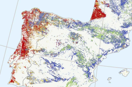 Mapa com áreas de silvicultura muito intensiva assinaladas a vermelho.