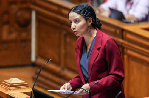 Andreia Galvão no Parlamento.