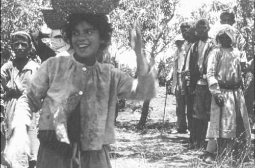 Palestine, a Revisited Narrative