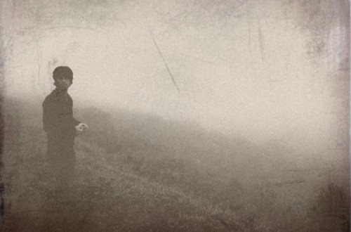 Explorando o campo, 1899