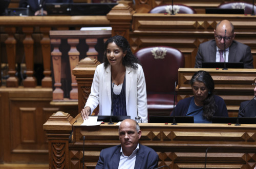 Andreia Galvão no Parlamento.