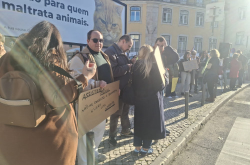 Manifestação por Vida Independente