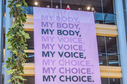 Faixa da Esquerda no Parlamento Europeu