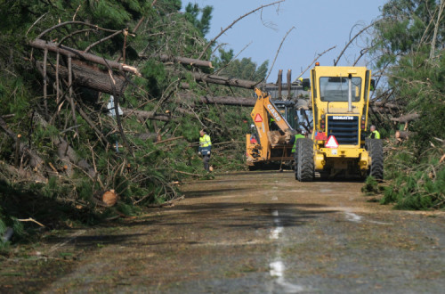 Desobstrução da via devido à queda de árvores, que obrigaram ao corte da estrada nacional 242-4, que liga Pataias à A8, depois da passagem da depressão Kristin, em Pataias, Alcobaça, 28 de janeiro de 2026