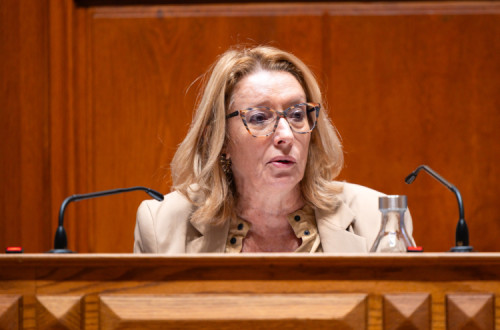 Maria do Rosário Palma Ramalho