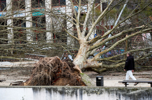 Queda de árvores no parque do Avião depois da passagem da depressão Kristin, em Leiria, 28 de janeiro de 2026.