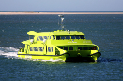Catamaran