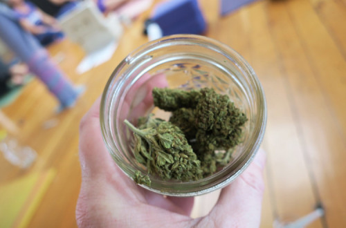 canábis medicinal