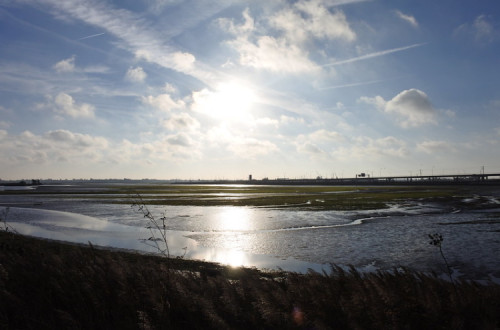 Ria de Aveiro. Foto de FF Mira/Flickr.