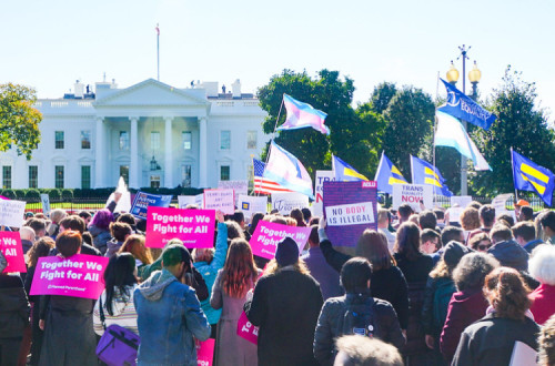 Manifestação pelos direitos trans. Washington, 2018. Foto de Ted Eytan/Flickr.