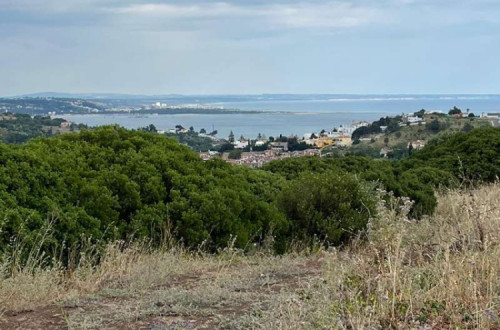 Terreno no concelho de Oeiras
