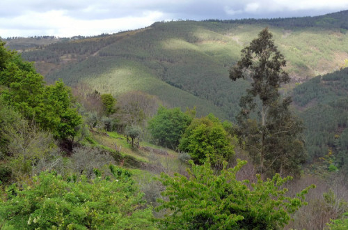 Serra da Lousã. Foto de Tania & Artur/Flickr.
