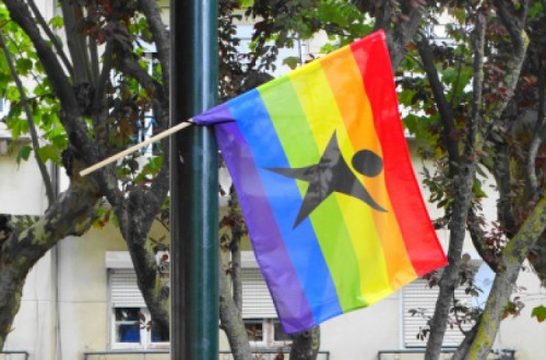 Governo ignora responsabilidade de incluir a diversidade familiar