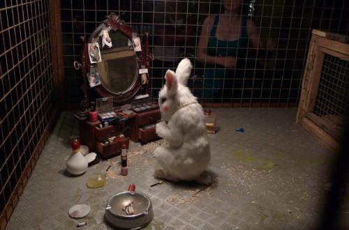 Coelho usando cosméticos. Foto de uma instalação atribuída a Banksy. Por acb/Flickr.