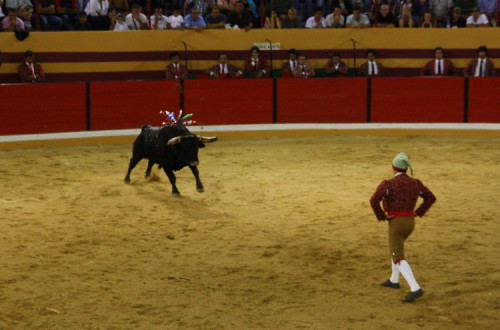 Touradas