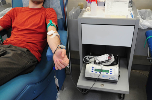 Em Portugal, arrastam-se desde 2017 as conclusões de um estudo da DGS sobre a doação de sangue por homens que têm sexo com homens. No início do ano previa-se que a sua divulgação ocorresse no final de junho.