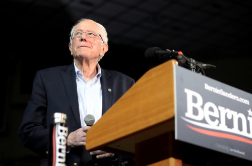 Sanders em campanha em Phoenix, Arizona, março de 2020. Foto de Gage Skidmore/Flickr.