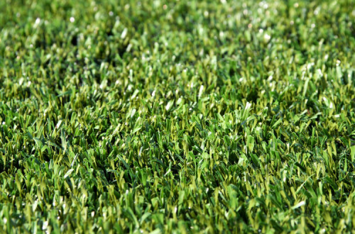 Campo desportivo sintético