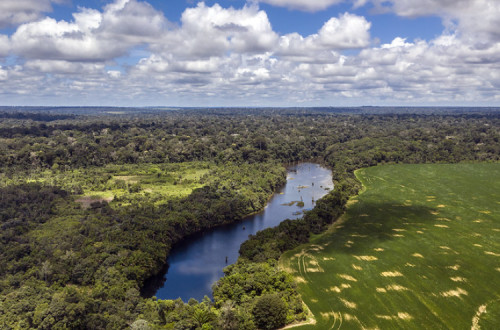 Floresta Amazónica. Foto de Oregon State University/Flickr.