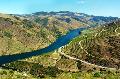 Vale do Côa. Foto: Wikimedia Commons.