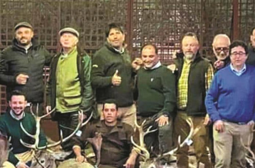 Foto publicada nas redes sociais dos caçadores responsáveis pelo abate de 540 animais na Torre Bela.