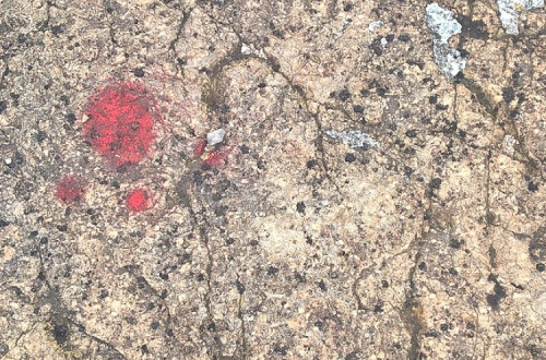 Pegada de dinossauro marcada a vermelho no Monumento Natural de Carenque. Foto de GualdimG/Wikimedia Commons.