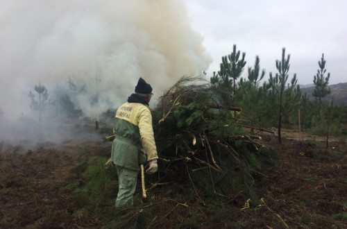 Sapador florestal. Imagem da Arbórea/Facebook.