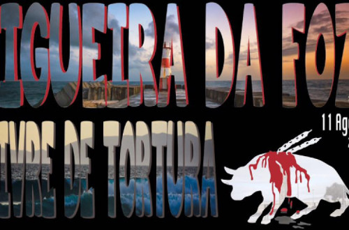 Manifestação é convocada pelo movimento cívico “Figueirenses Anti-Tourada”
