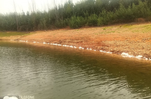 Manchas de espuma na barragem da Aguieira.