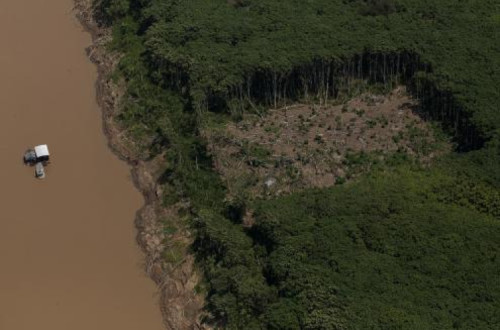 Amazónia perde área equivalente a território de Espanha em vinte anos