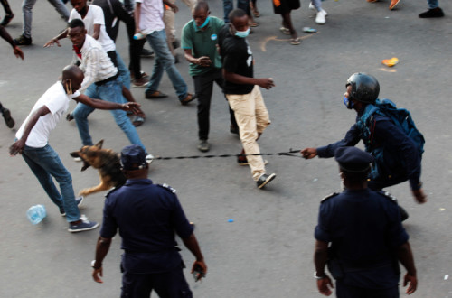 Brigada de cães e Polícia de Intervenção afastam manifestantes junto ao Tribunal, no julgamento das 103 pessoas detidas na manifestação de 24 de outubro, 26 de outubro de 2020 – Foto de Ampe Rogério/Lusa