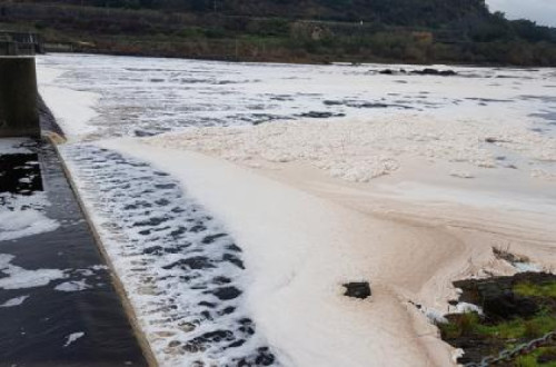 Poluição do Tejo - Foto de Arlindo Marques