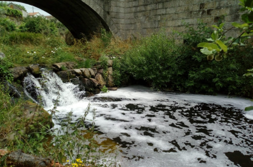 A Ribeira de Travassos poluída. Foto do Bloco de Esquerda de Carregal do Sal.