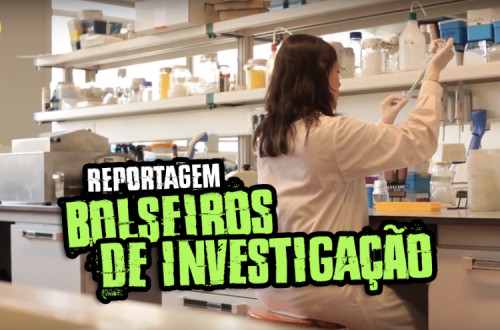 Reportagem sobre os bolseiros de investigação