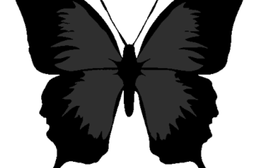 Borboleta