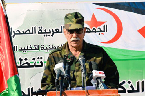 Brahim Gali