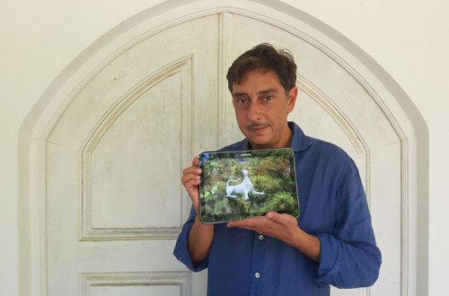 Realizador Miguel Gomes premiado em Locarno