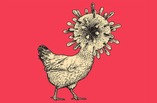 Desenho da capa de "Llega el Monstruo"